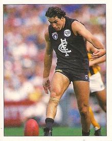 1994 Select AFL Stickers #40 Stephen Silvagni Front